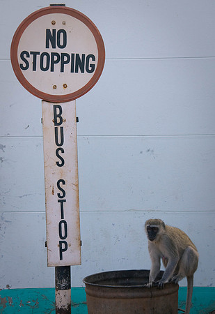 At the Zimbabwe border checkpoint